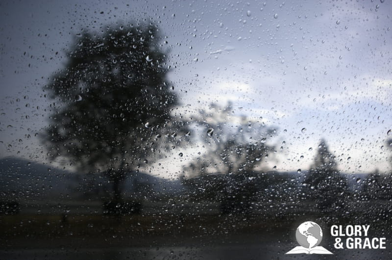 Elijah Prayed For Rain • Deshen Daily