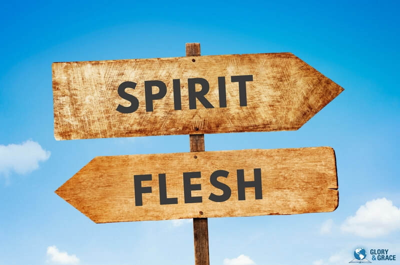 leadership of  the spirit showing signs of spirit and flesh 