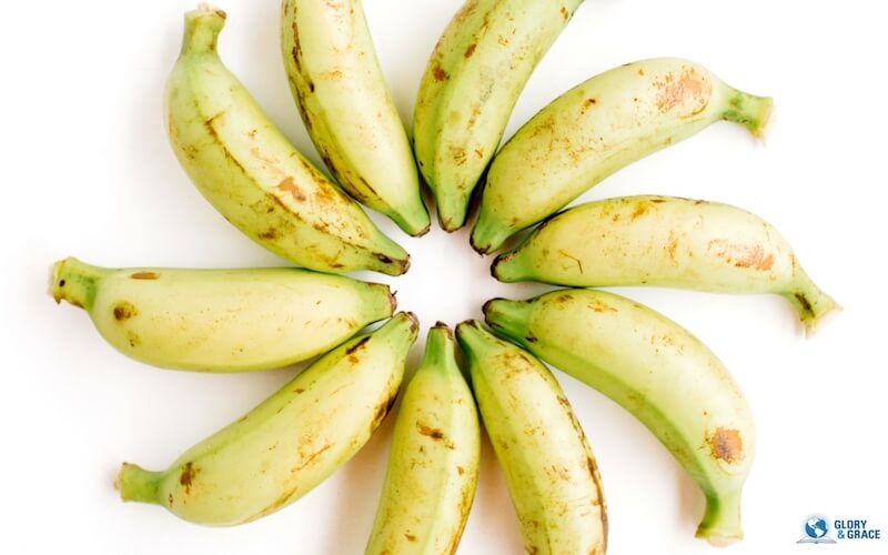Spiritual hunger image showing a group of bananas in a circle