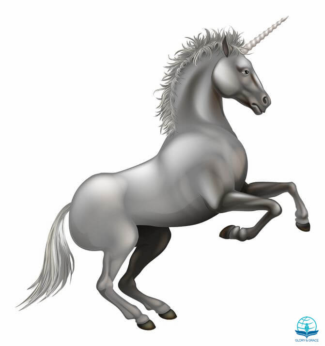 The number of horns on a unicorn