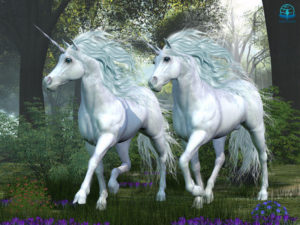 Unicorn pictures showing two white unicorns