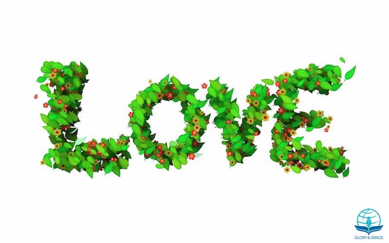 What is love images showing the letters of love spelled with leaves