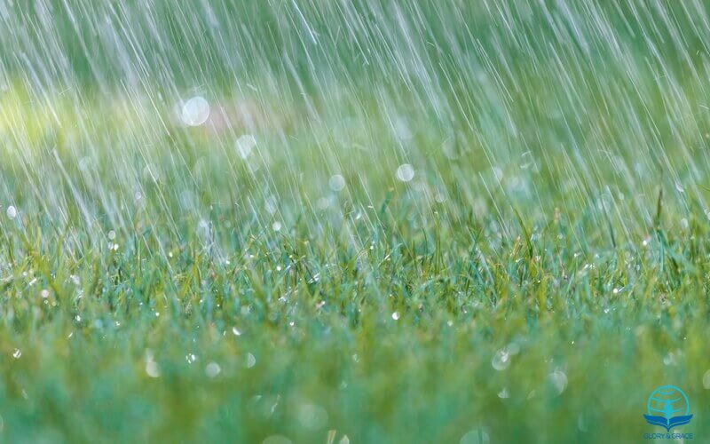 So shall my Word be images showing rain falling on grass
