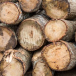 logs of wood, speck in your eye vs wood