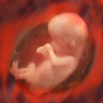 before i formed thee in the womb i knew thee showing a baby in the womb