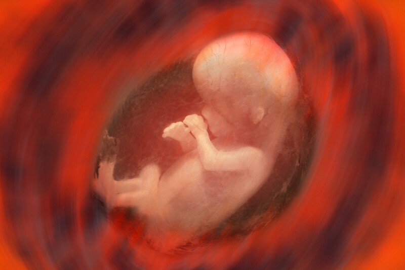 before i formed thee in the womb i knew thee showing a baby in the womb