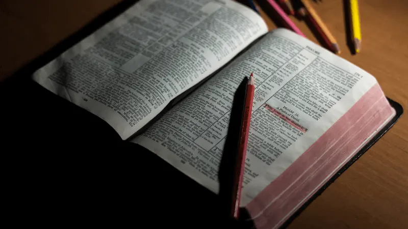 Bible articles showing the Bible