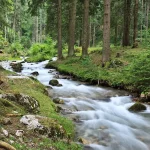 how do rivers of living waters flow out of your belly