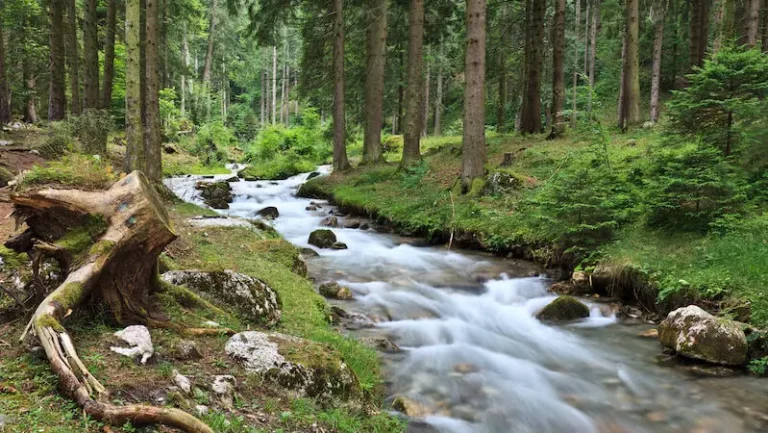 How Do Rivers of Living Waters Flow Out of Your Belly?