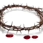 blood of Christ showing the crown of thorns and drops of blood