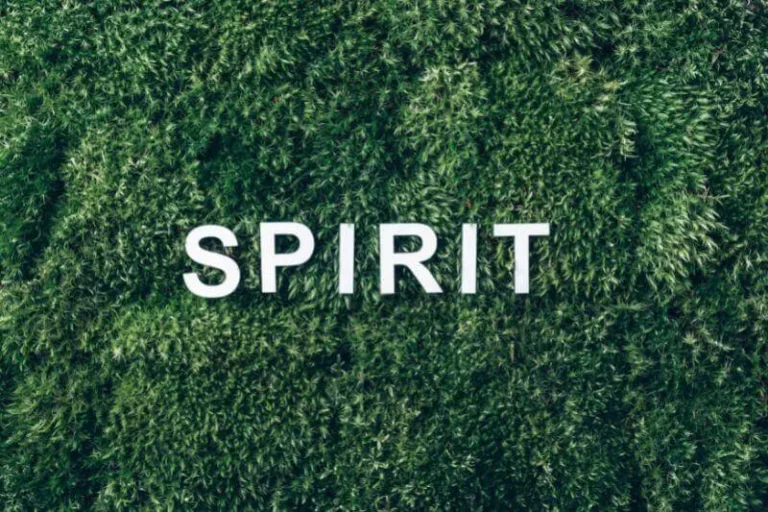 The Naturalization of the Spirit