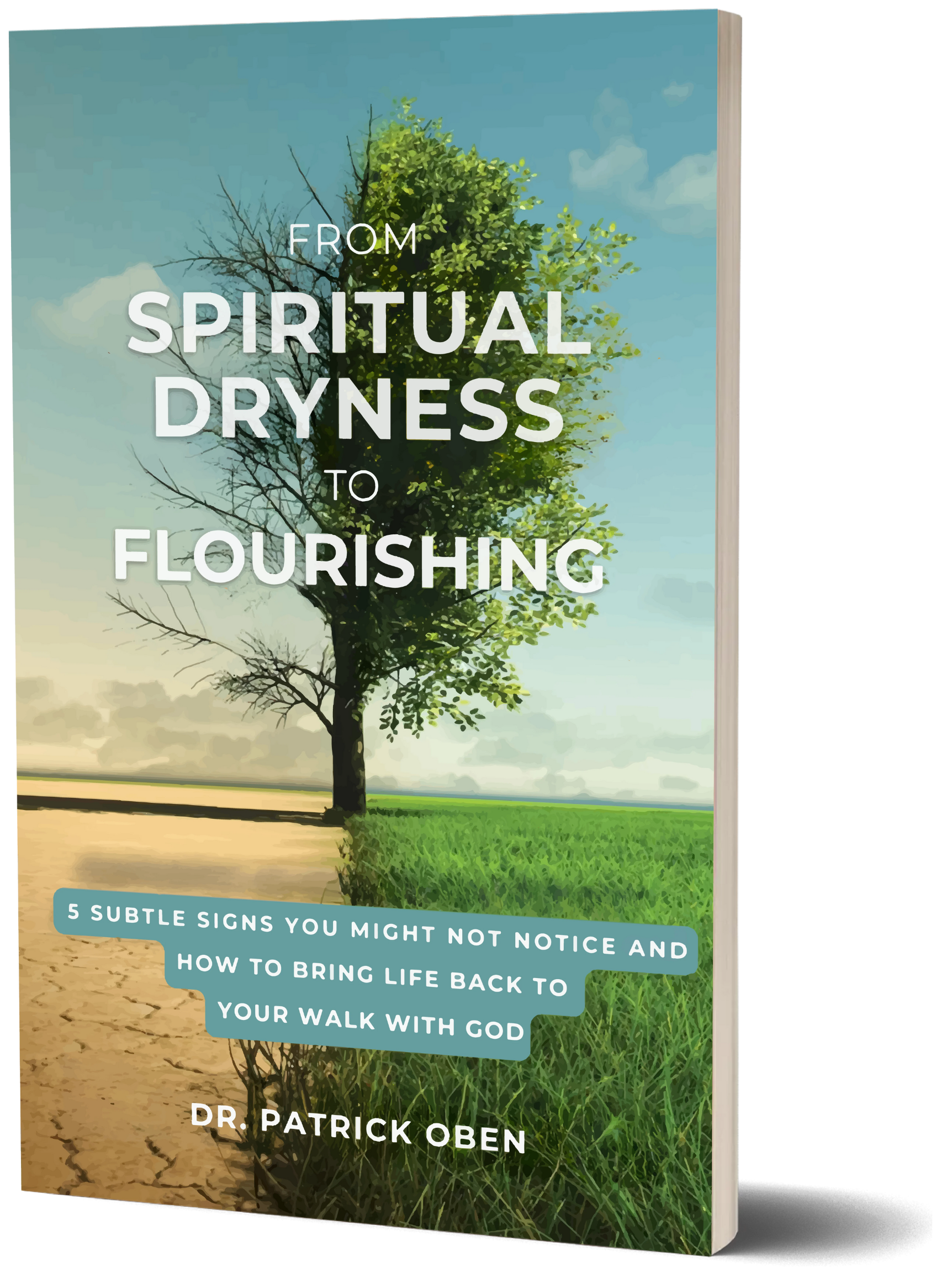 Spiritual Dryness 3d cover