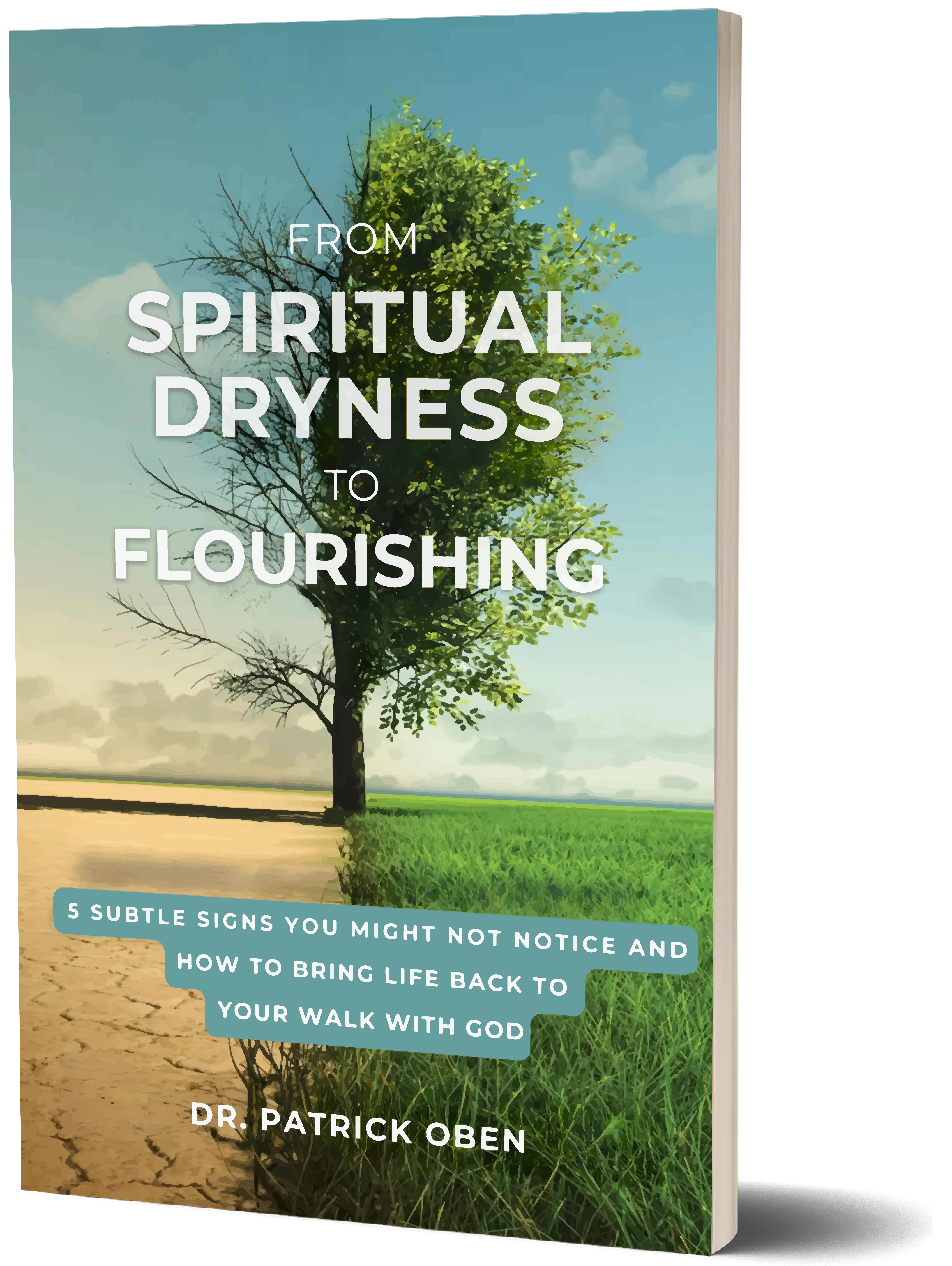 Spiritual Dryness 3d cover